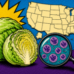 cyclospora outbreak