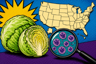 cyclospora outbreak